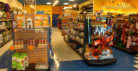 英國在線寵物用品銷售熱潮 商鋪旺鋪現(xiàn)象解析